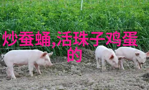 壹仓优品服装供应链服装批发服装采购-众多眼光犀利人士的选择