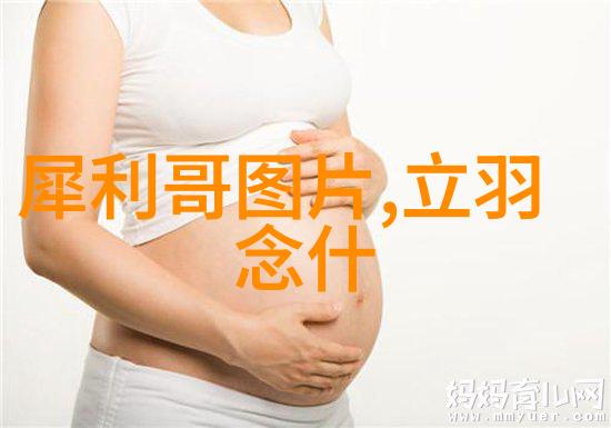 男装有哪些加盟麦恩雷特怎么样